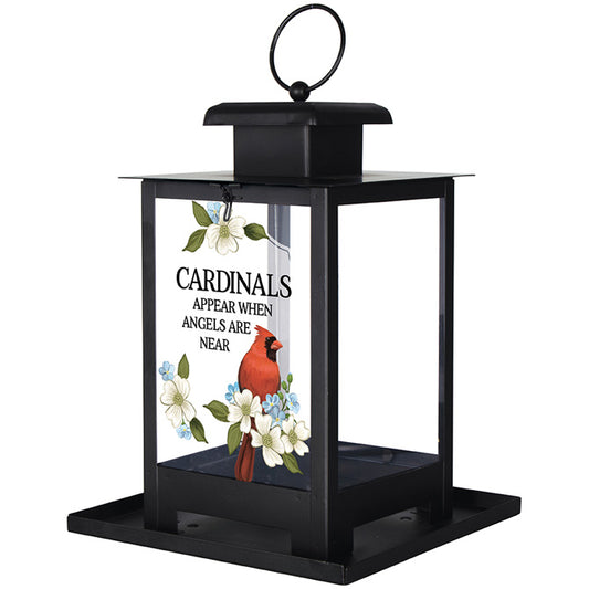 BIRD FEEDER - CARDINALS APPEAR